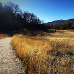 Intro to Trail Running at South Valley Park