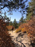 Trail Run at Dawson’s Butte