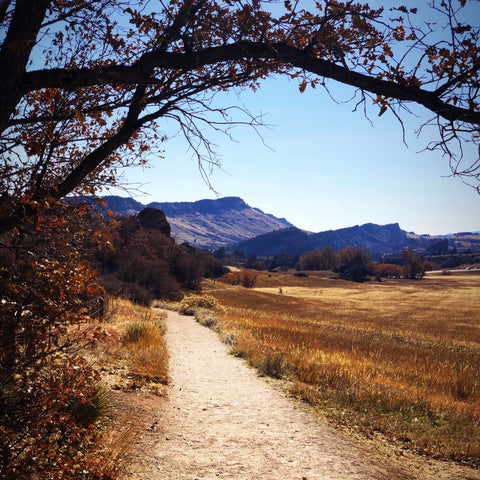 Intro to Trail Running at South Valley Park