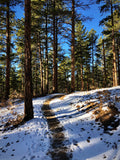 Trail Run at Dawson’s Butte