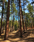 Dawson Butte Hike