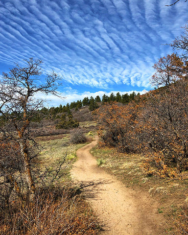 Dawson Butte Hike