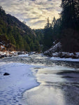 Pine Valley Ranch Hike