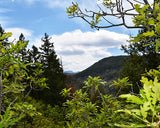 Indian Creek Hike