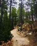 Spruce Mountain hike photo